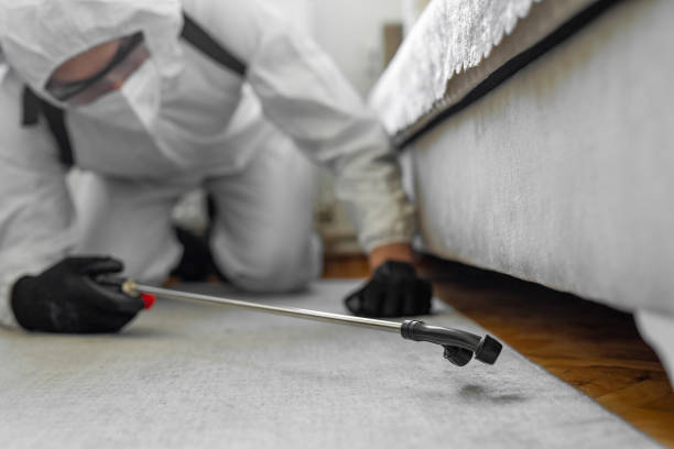 Professional Cockroach Control technician working in Como, MS