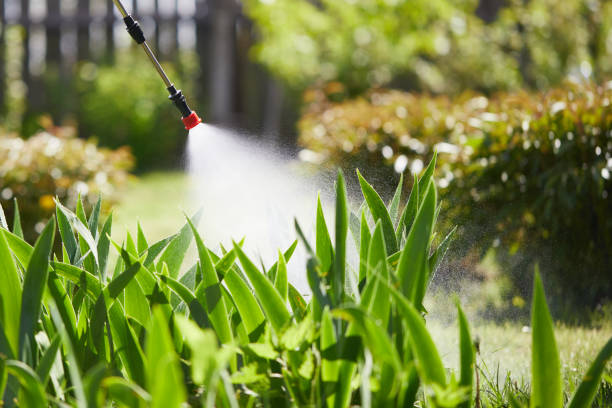 24/7 Emergency Cockroach Control experts in Como, MS