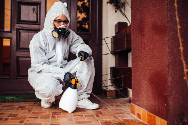 Reliable Cockroach Control contractor in Como, MS by Nex Pest Control
