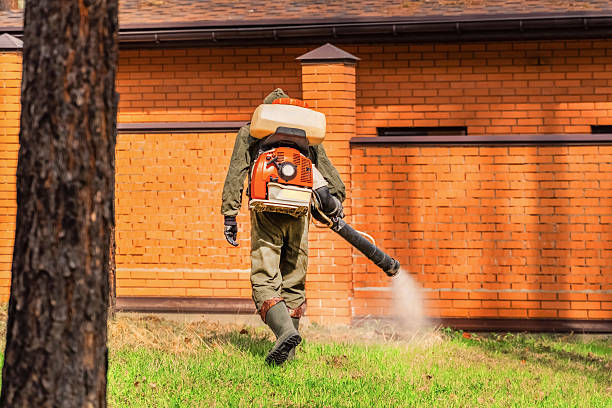 Top rated local Cockroach Control specialists in Como, MS